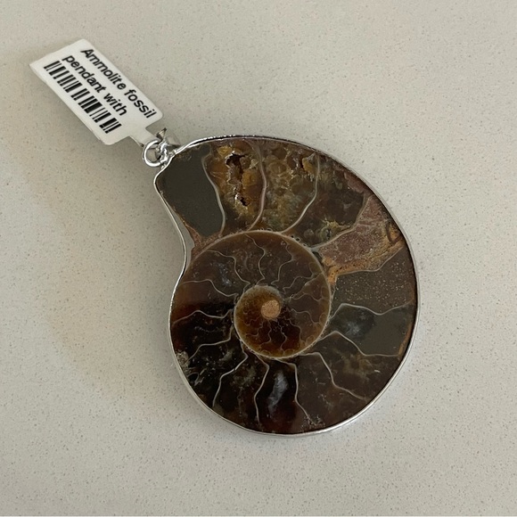 One of A Kind Ammolite Fossil Pendant - Picture 6 of 10